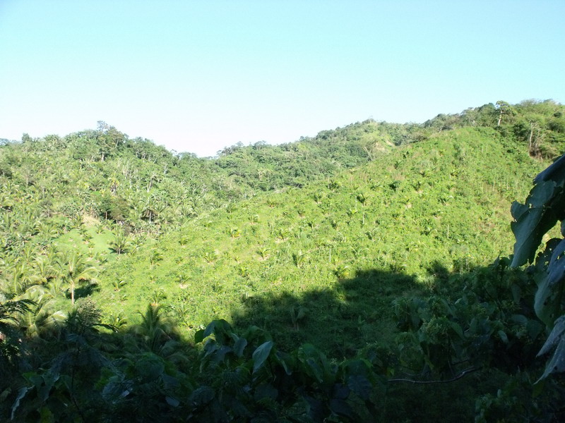 Daraitan farm lot