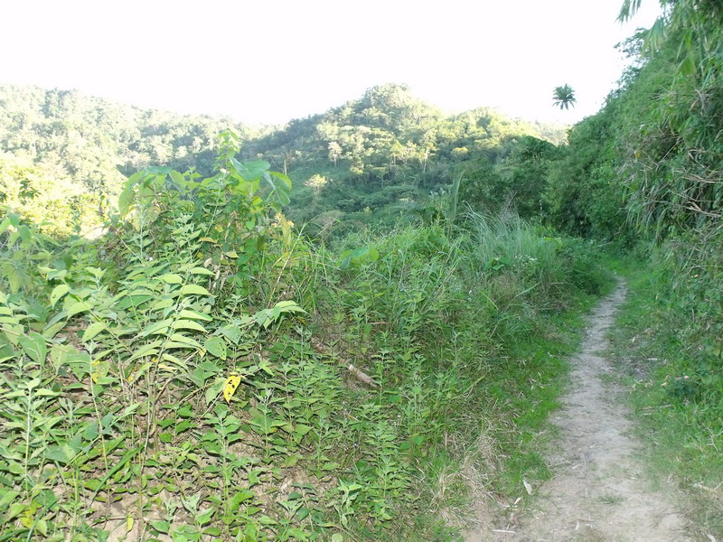 Daraitan farm lot