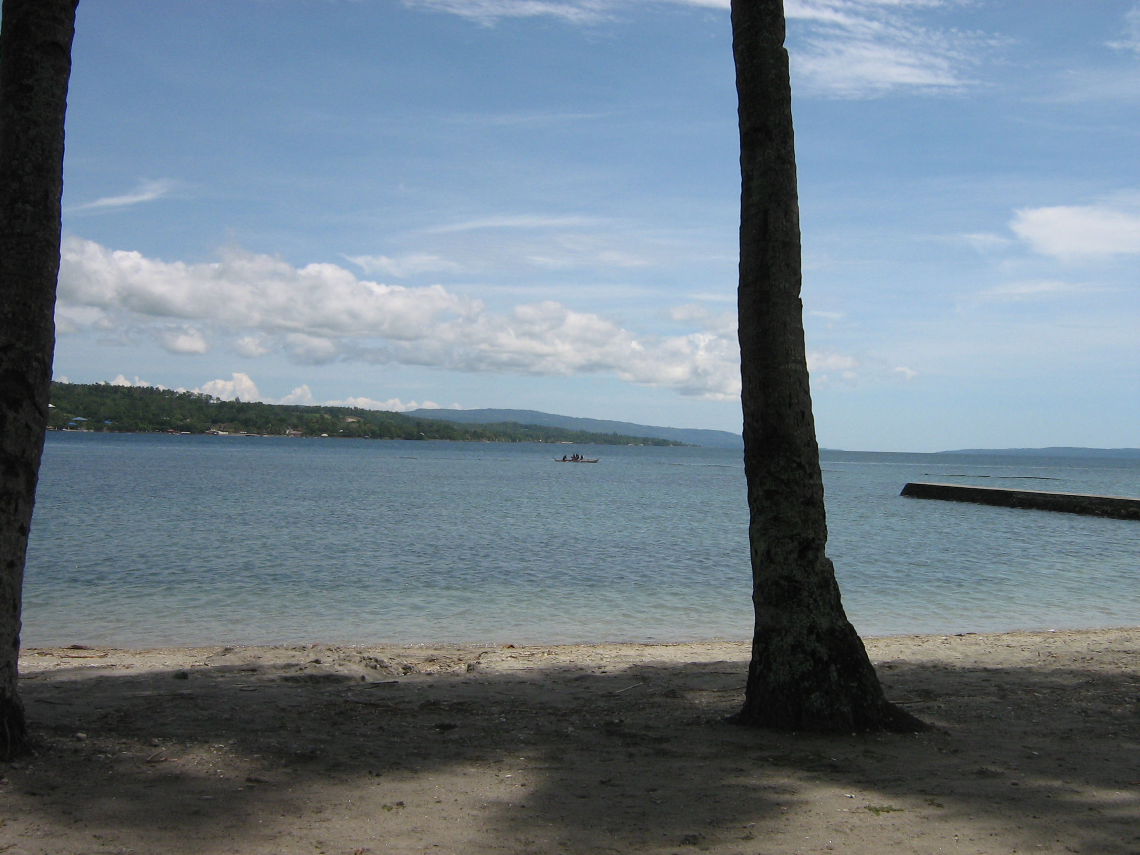 FOR SALE: Beach / Resort Davao del Sur > Samal
