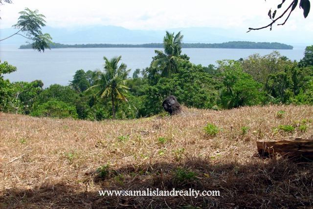 FOR SALE: Lot / Land / Farm Davao del Sur > Samal