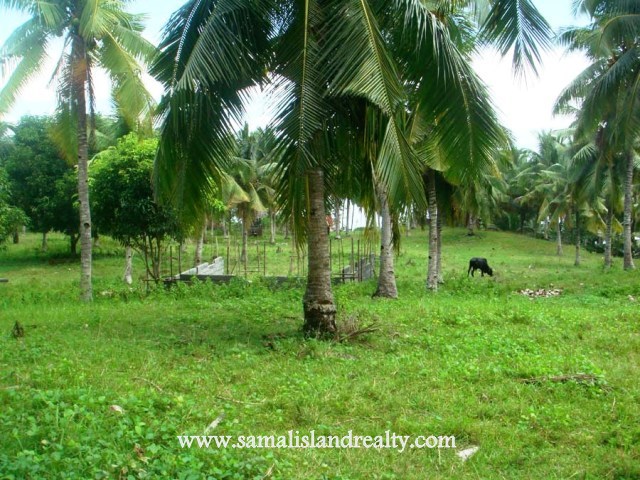 FOR SALE: Lot / Land / Farm Davao del Sur > Samal 1