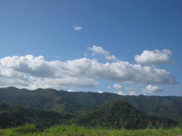 FOR SALE: Lot / Land / Farm Cebu > Cebu City 6