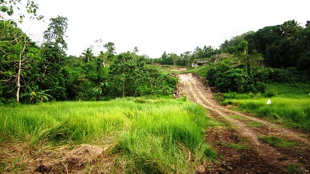 FOR SALE: Lot / Land / Farm Davao del Sur > Samal 1