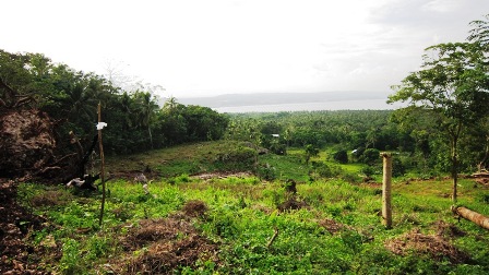 FOR SALE: Lot / Land / Farm Davao del Sur > Samal 2