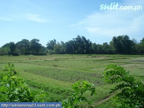 FOR SALE: Lot / Land / Farm La Union > Other areas