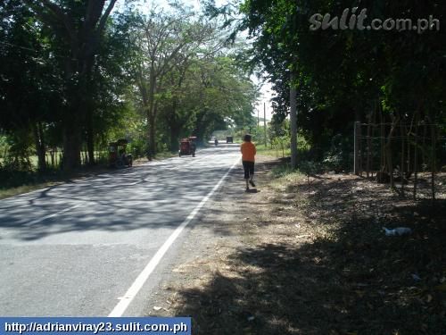 FOR SALE: Lot / Land / Farm La Union > Other areas 1