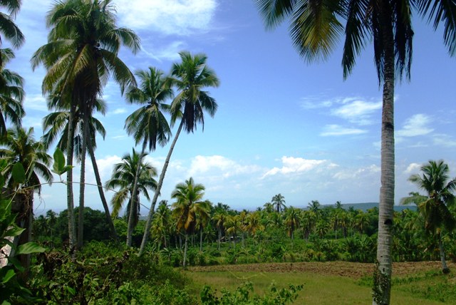 FOR SALE: Lot / Land / Farm Davao del Sur > Samal