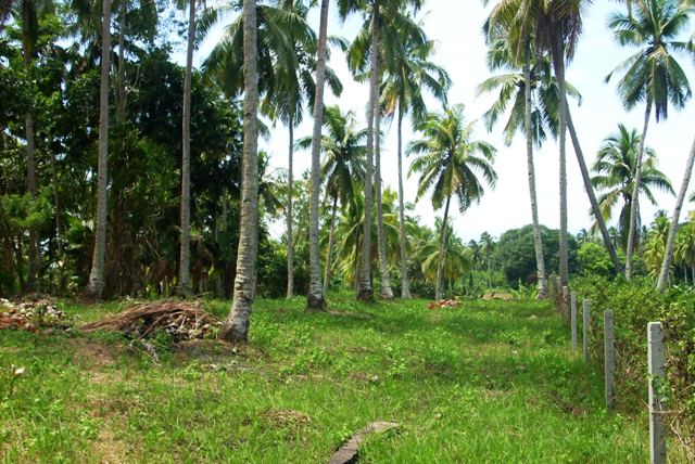 FOR SALE: Lot / Land / Farm Davao del Sur > Samal 1