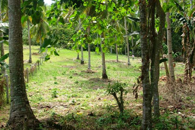 FOR SALE: Lot / Land / Farm Davao del Sur > Samal 3