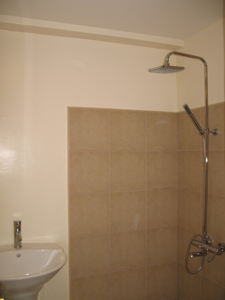 Modern Style T&B w/ rain shower head and telephone shower