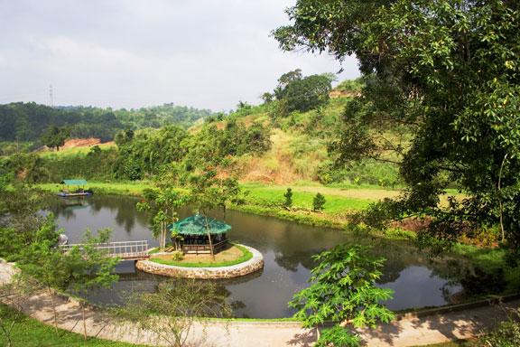 FOR SALE: Lot / Land / Farm Rizal > Antipolo 8