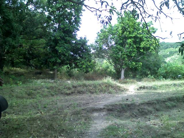 FOR SALE: Lot / Land / Farm La Union > Other areas 6