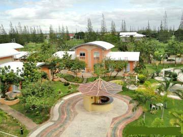 FOR SALE: Lot / Land / Farm Nueva Ecija > Cabanatuan 4