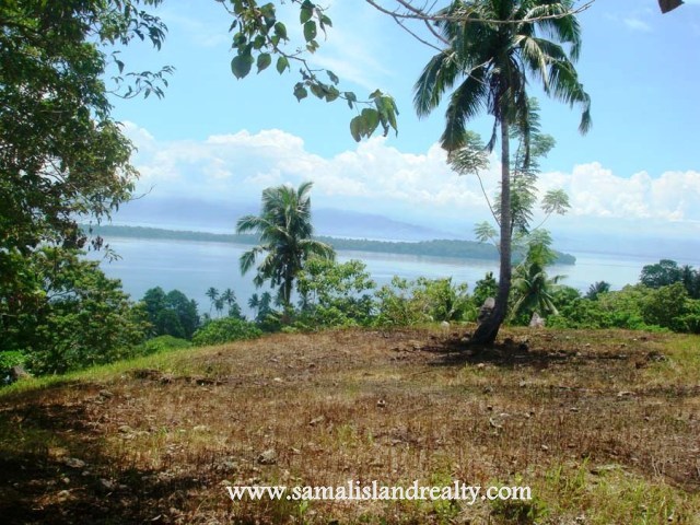 FOR SALE: Lot / Land / Farm Davao del Sur > Samal 2