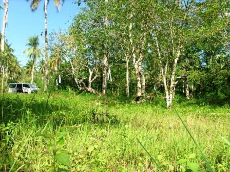 FOR SALE: Lot / Land / Farm Davao del Sur > Samal