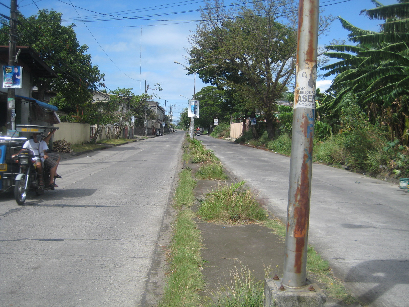 Left View of the Street