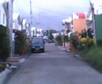 7.	Avida Lucena neighborhood