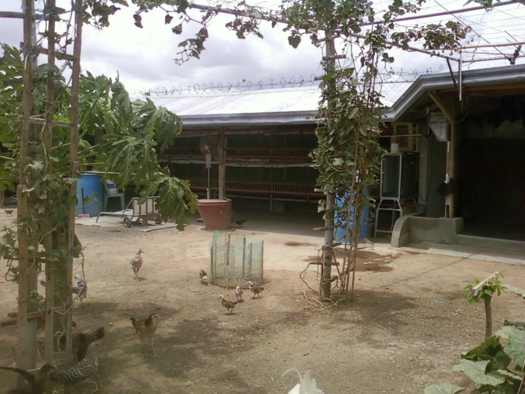 FOR SALE: Lot / Land / Farm Batangas > Other areas 6