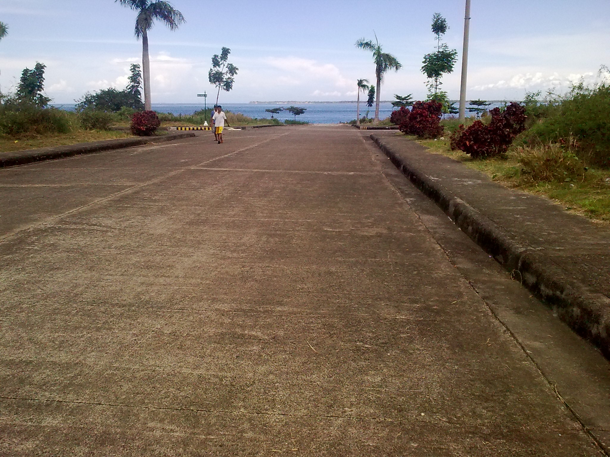 FOR SALE: Lot / Land / Farm Cebu > Mactan 1