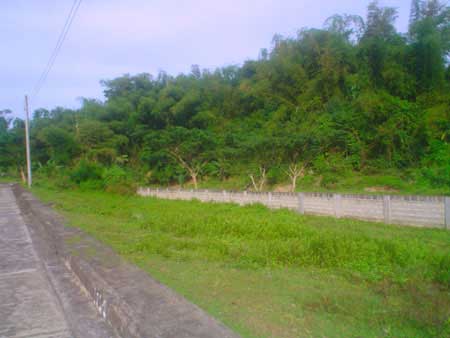 FOR SALE: Lot / Land / Farm Cebu > Cebu City 4