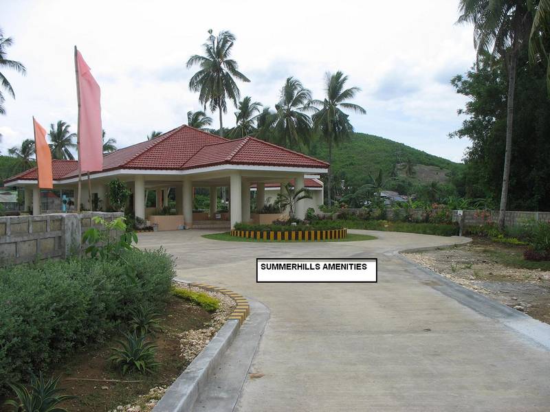 FOR SALE: Lot / Land / Farm Cebu > Other areas 1