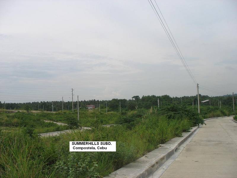 FOR SALE: Lot / Land / Farm Cebu > Other areas 5