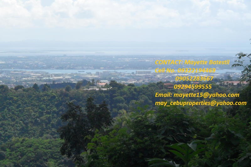 FOR SALE: Lot / Land / Farm Cebu > Cebu City 4