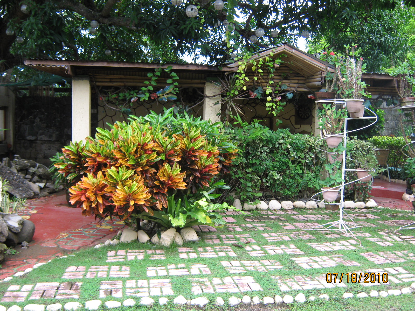 FOR SALE: House La Union > Bauang 4