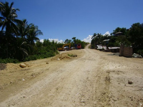 FOR SALE: Lot / Land / Farm Cebu 2