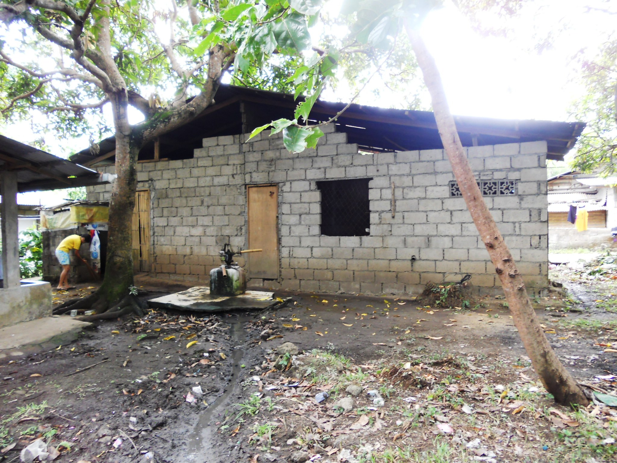 BACKYARD WITH POSO AND BIG MANGO TREE