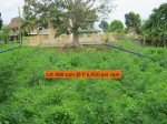 FOR SALE: Lot / Land / Farm Cebu 1