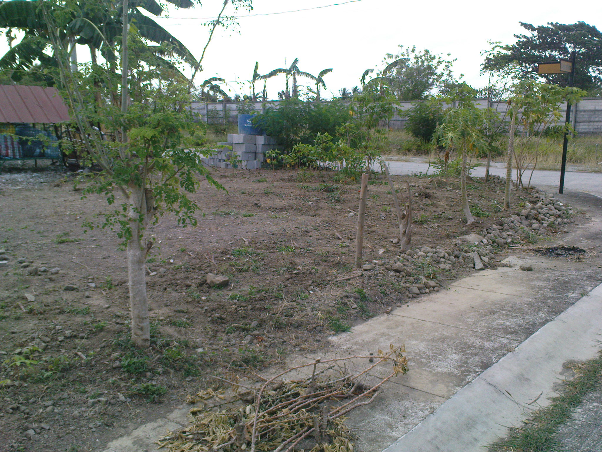 FOR SALE: Lot / Land / Farm Cavite