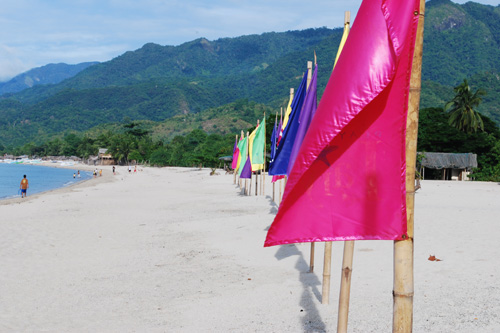 laiya beach