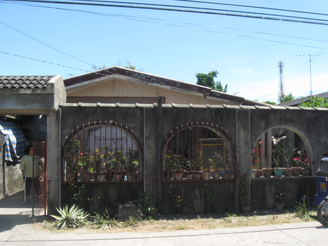 FOR SALE: Lot / Land / Farm Tarlac