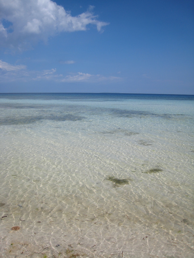 FOR SALE: Beach / Resort Bohol > Other areas 24