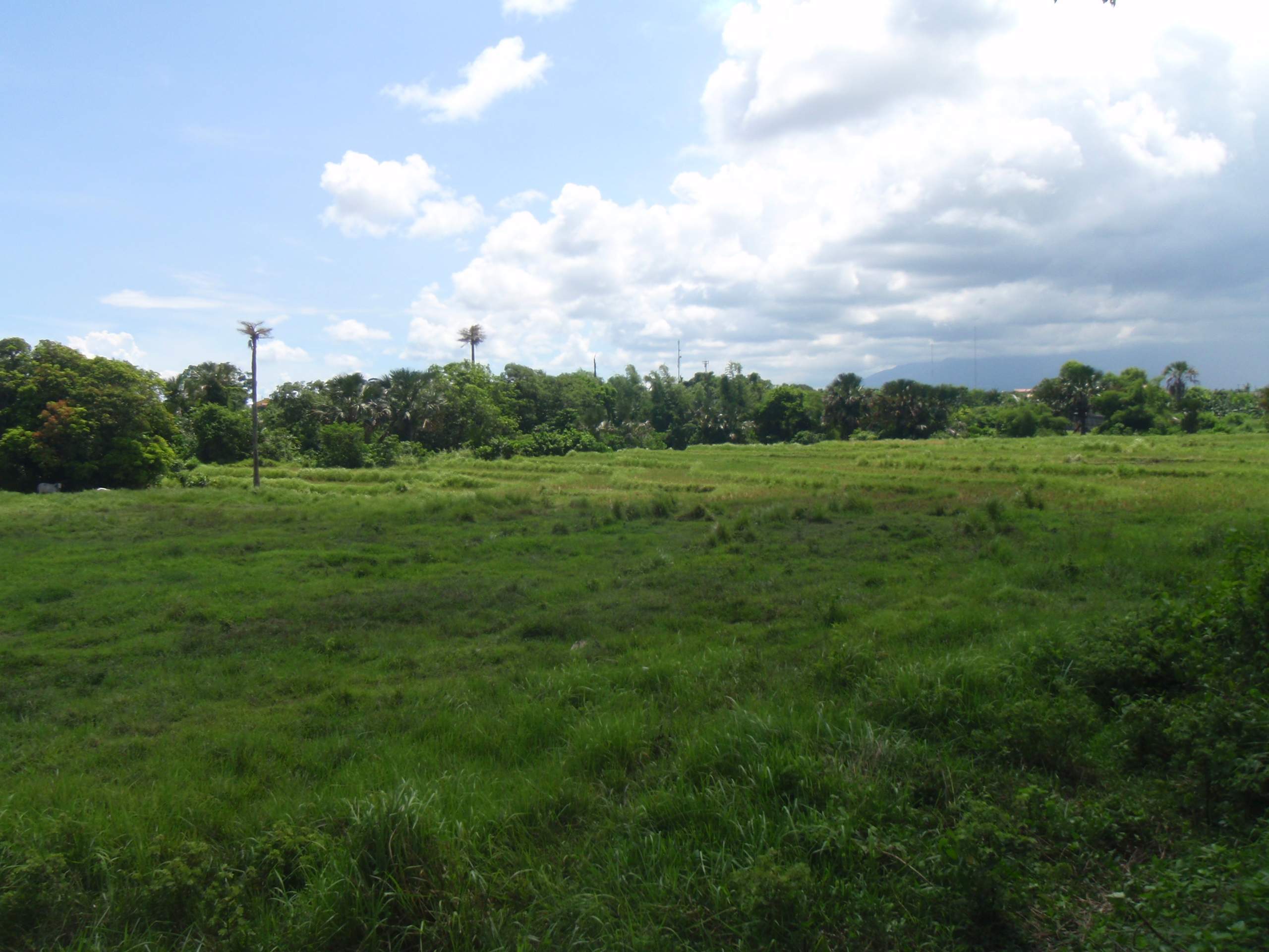 FOR SALE: Lot / Land / Farm Quezon > Lucena