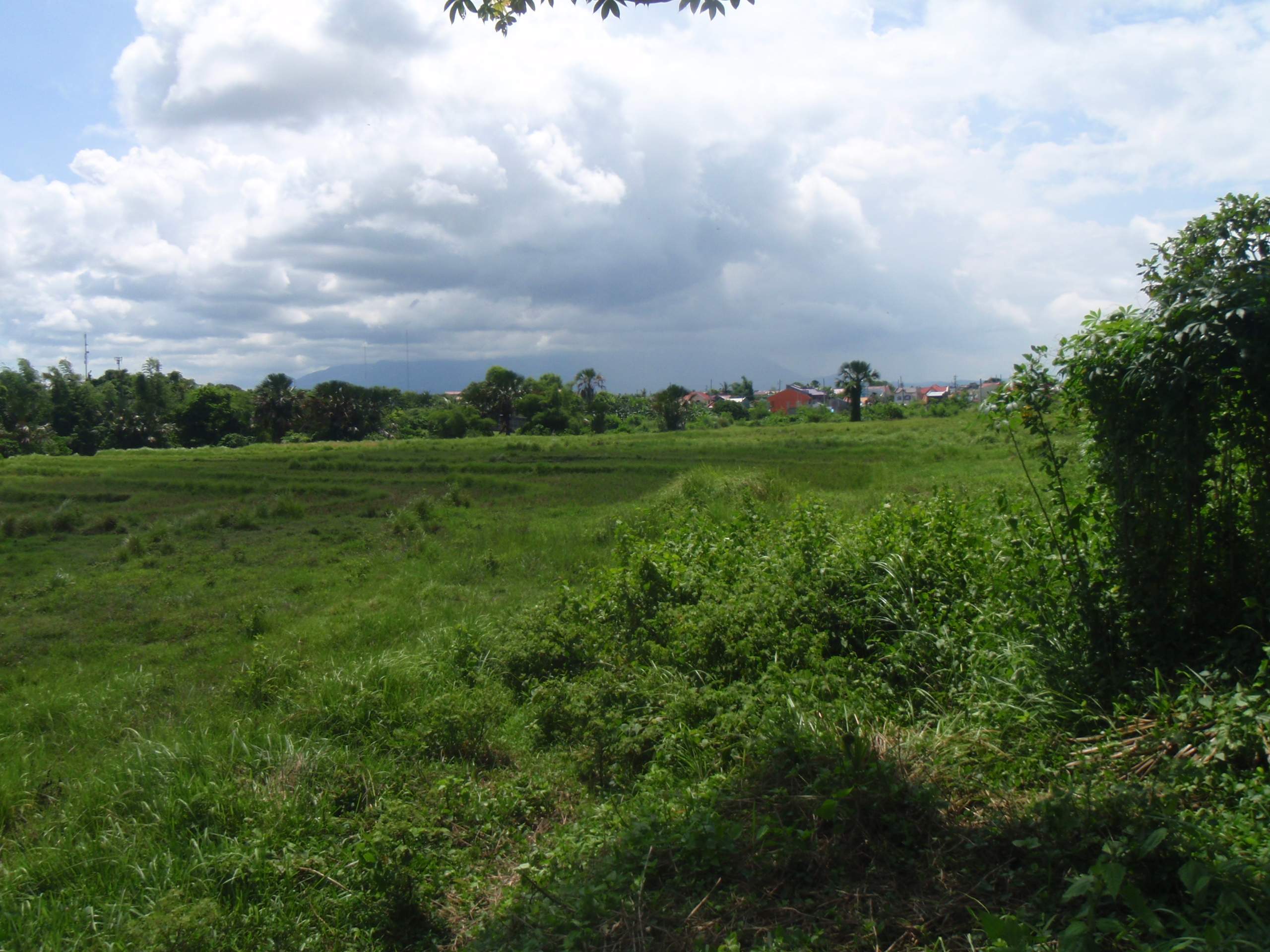 FOR SALE: Lot / Land / Farm Quezon > Lucena 1