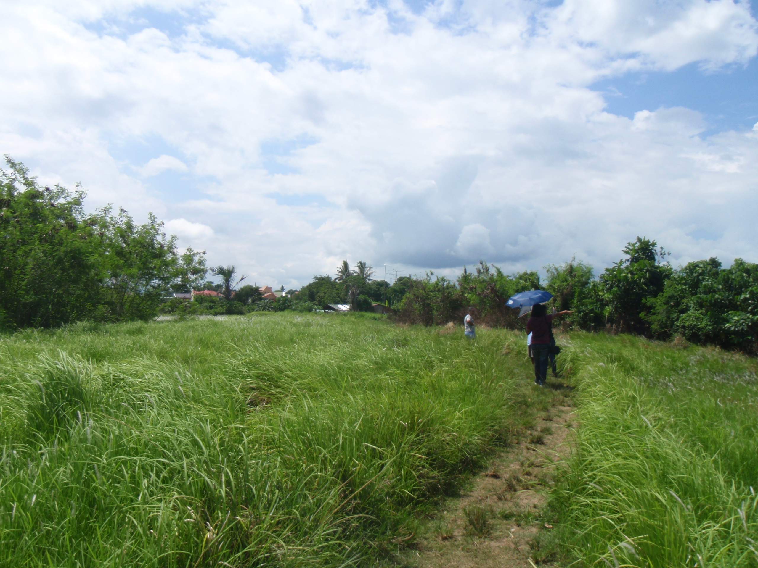 FOR SALE: Lot / Land / Farm Quezon > Lucena 6