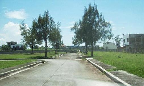 FOR SALE: Lot / Land / Farm Cavite > Dasmarinas 16