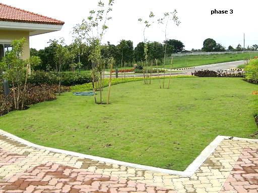 FOR SALE: Lot / Land / Farm Cavite 4