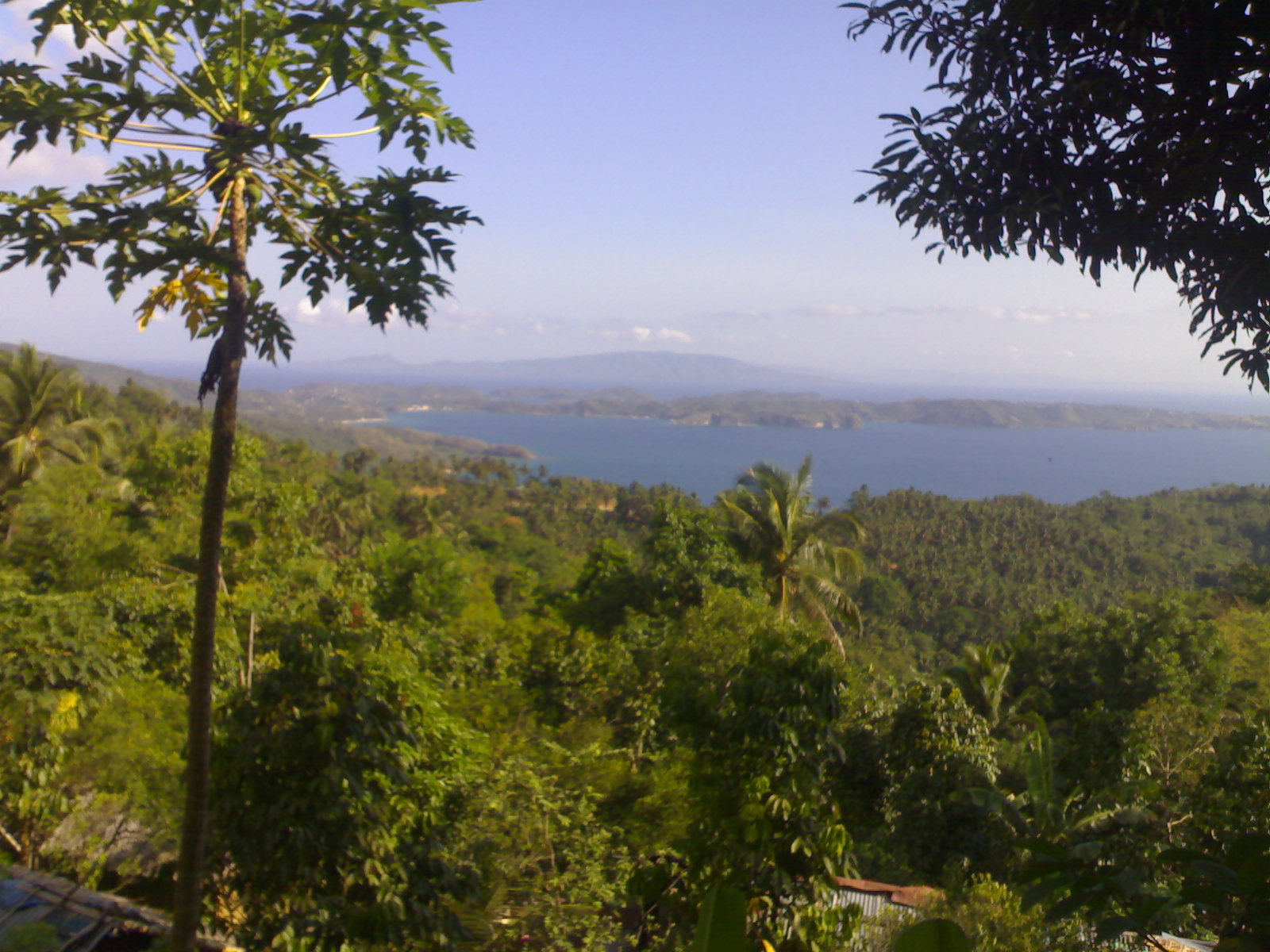 FOR SALE: Lot / Land / Farm Mindoro Oriental > Puerto Galera