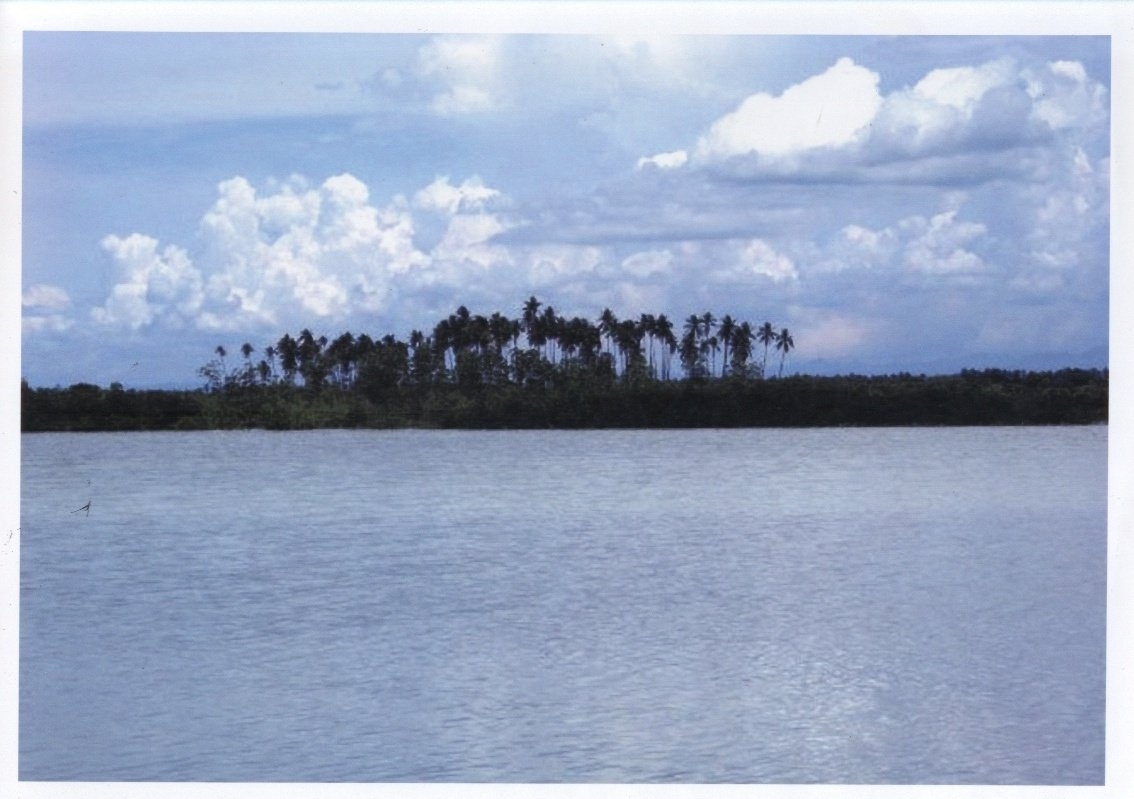 Babag Island near Sta. ROSA Lapu-Lapu