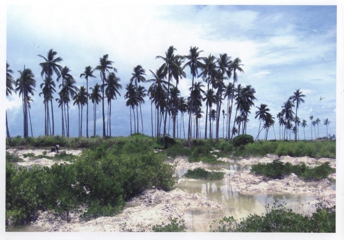 Babag Island near Sta. ROSA Lapu-Lapu