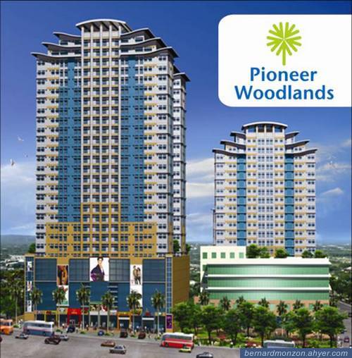 Pioneer Woodlands 