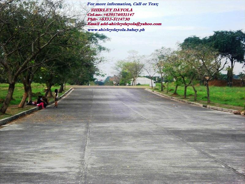 The Neopolitan Business PARK, COMMERCIAL LOT  INNER Price per sq.m. -- P25,000/sq.m.  CORNER LOT per sq.m.-P 27,000.00/sq.m. 