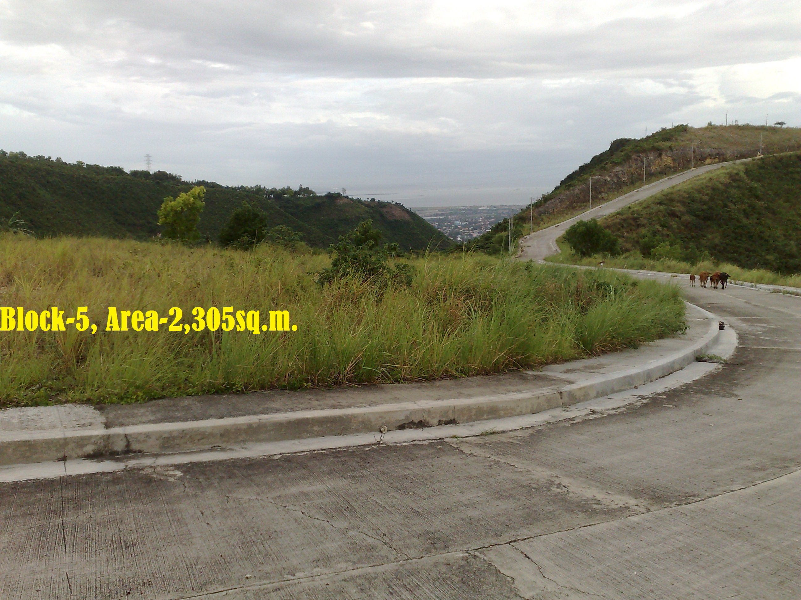 PROPERTY DESCRIPTION:   PROPERTY DESCRIPTION: LOT FOR SALE VISTA GRANDE SUBDIVISION, PHASE 3, BULACAO TALISAY CITY , IT IS  A PANORAMIC VIEW. Within Talisay  City a community rises to give the conveniences of modern living amid a relaxing countryside sett