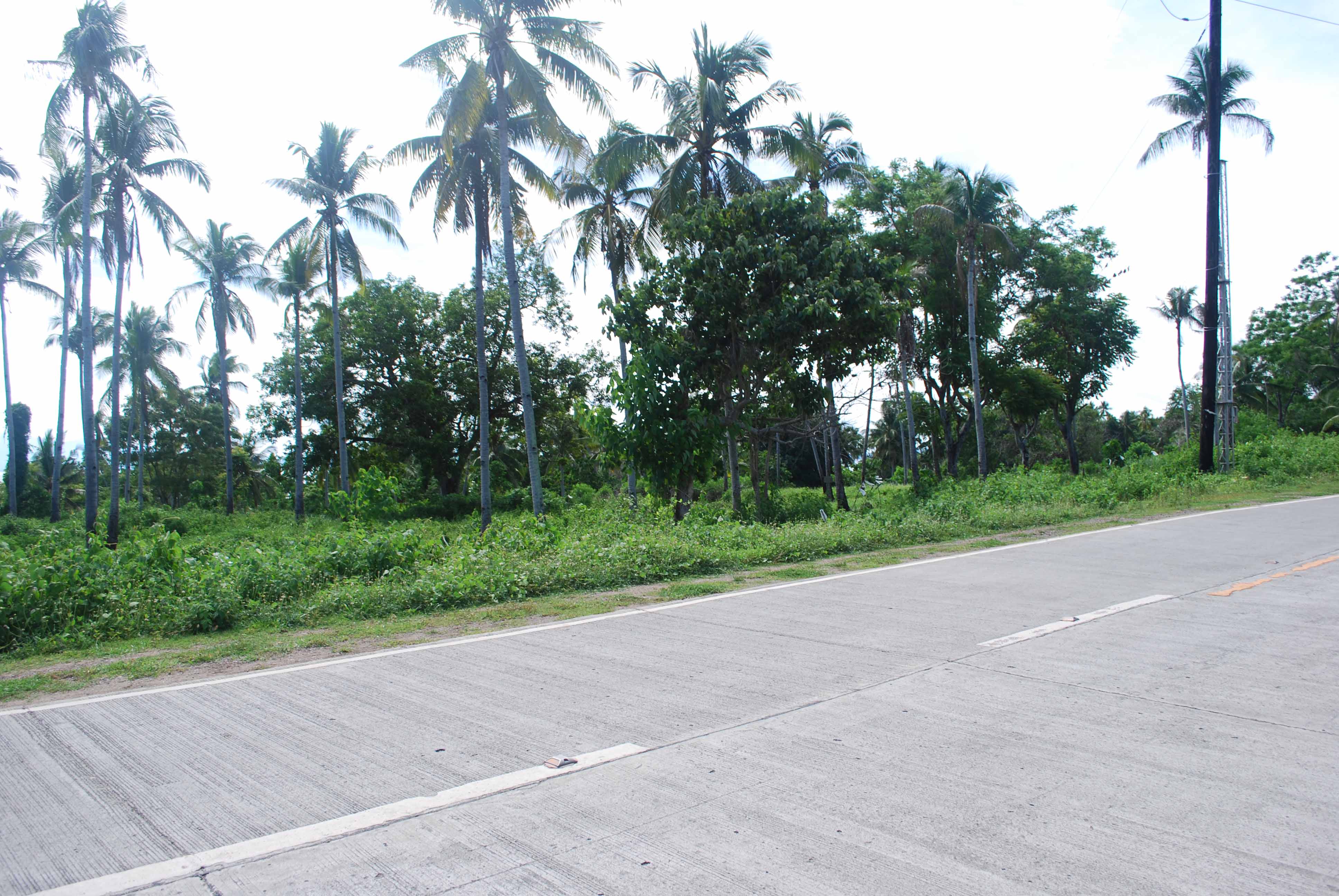 the national road of Kaputian Site