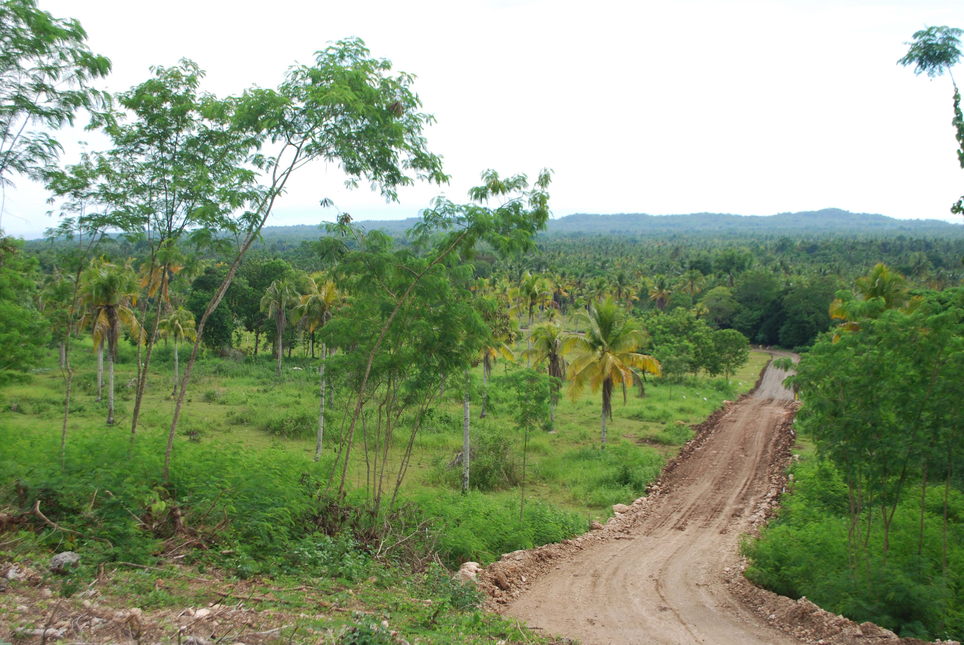 FOR SALE: Lot / Land / Farm Davao 1