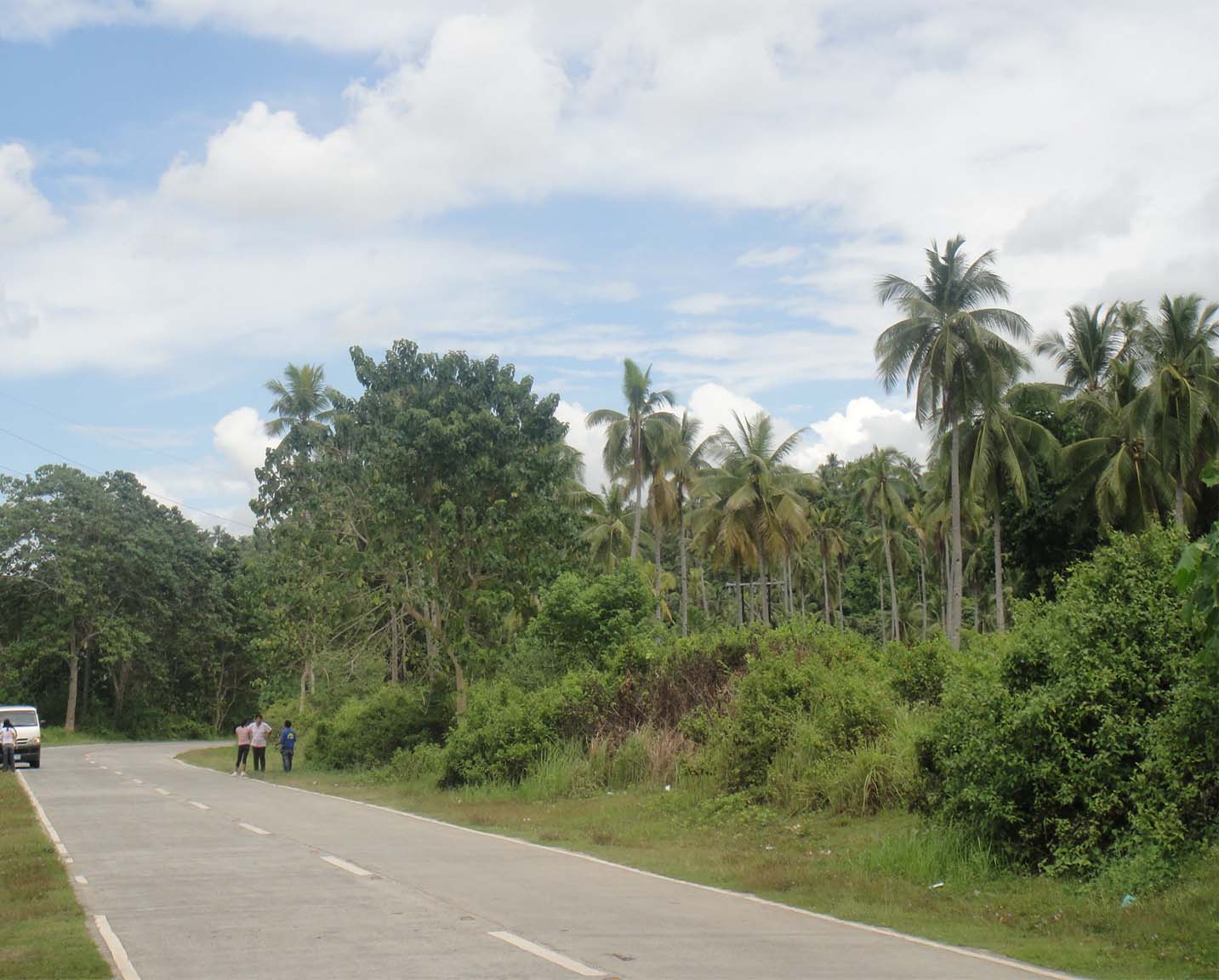 FOR SALE: Lot / Land / Farm Davao 2