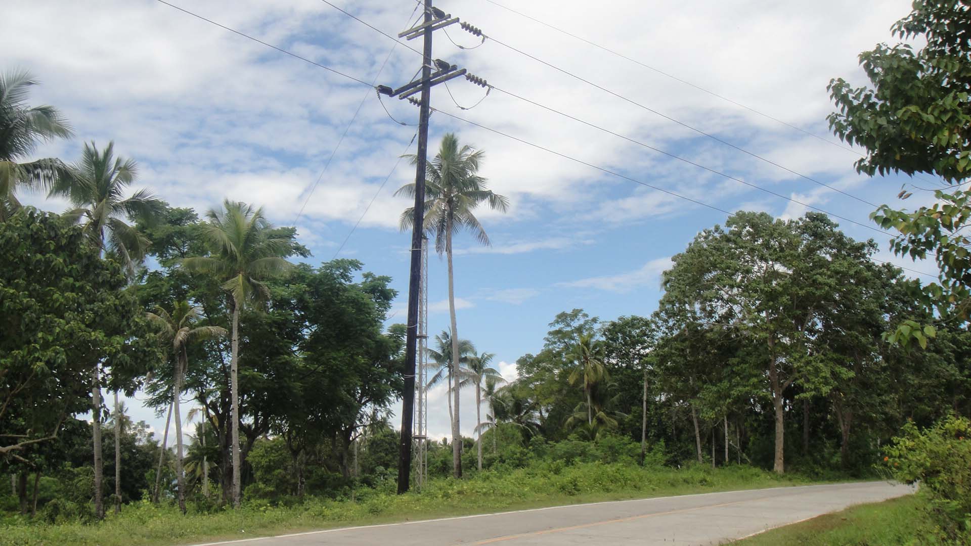 FOR SALE: Lot / Land / Farm Davao 2